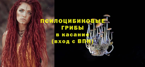 стафф Бронницы