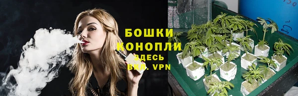 стафф Бронницы
