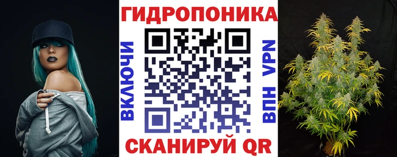 Каннабис конопля Вологда